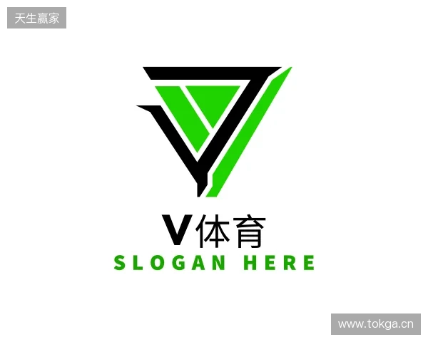 了解Vsports体育官方